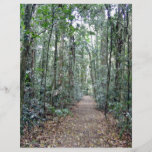 Pathway through the forest flyer design