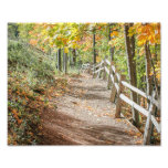 Pathway to Autumn Photo Art