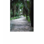 Pathway to the Yucatan t-shirts