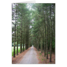 Pathways Greeting Card