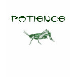 patience grasshopper t-shirts
