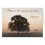 Patience is the companion of wisdom cards