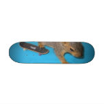 patience, skating squirel skateboards