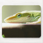 Patient Lizard Mousepad