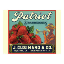 Patriot Strawberries Vintage Fruit Crate Label Art Postcards