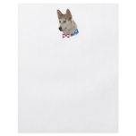 Patriotic Ausky Dog Flyer