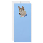 Patriotic Ausky Dog rack cards