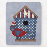 Patriotic Birdhouses (4)