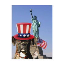 Patriotic boxer dog postcard
