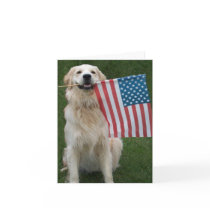Patriotic Dog