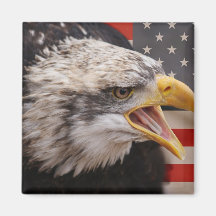 Patriotic Eagle Image Square Magnet