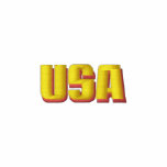 Patriotic Embroidery embroidered shirts