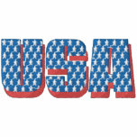 Patriotic Embroidery embroidered shirts