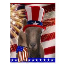 PATRIOTIC GOAT 4th OF JULY GIFTS Postcards