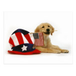 Patriotic Golden Puppy Post Cards