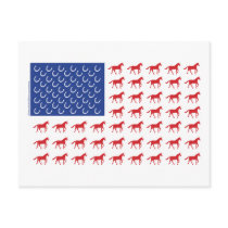 Patriotic Horses American Flag Post Cards