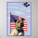 Patriotic pitbull poster posters