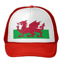 Patriotic Red Dragon Of Wales Sports Team Club Cap Hats