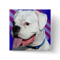 Patriotic white boxer button