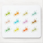 Patterned Ants