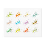 Patterned Ants