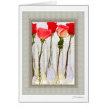 Patterned rose (right) cards