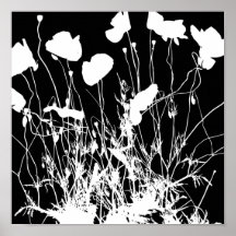 Patterns from nature 43 print
