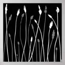 Patterns from nature 50 posters