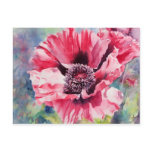 Pattys Plum postcards