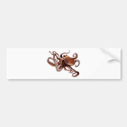 Paul The Octopus Bumper Stickers