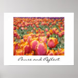 Pause and Reflect art prints Colorful Tulip Flower