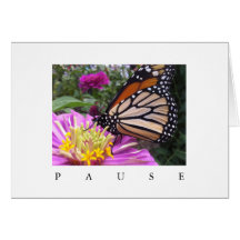 Pause Card: Monarch on Pink Zinnia