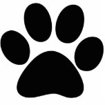 Paw Photo Sculpture