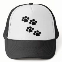 Paw Prints