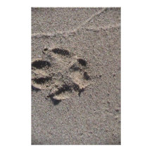 Paw Prints in Sand Stationery Design