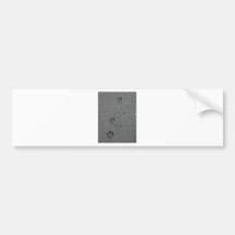 Paw Prints in the Sand Bumper Stickers