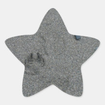 Paw Prints in the Sand Star Stickers