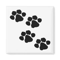 Paw Prints