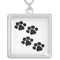 Paw Prints