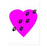 Paw Prints on my Heart - Pink Postcard