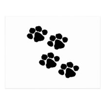 Paw Prints Post Card