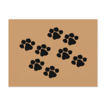 Paw Prints