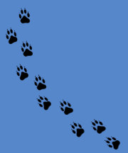 Paw Track Animal Care Mens Sewatshirt