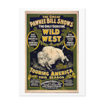 Pawnee Bill Shows Wild West Postcard