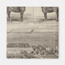 Pawnee Valley Stock Breeders' Association, Kansas Magnets