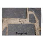 Pawprint cards