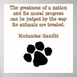 PawPrintGhandi