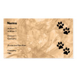 Paws Business Card Template