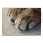 Paws Card