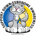 Paws for Down Syndrome Cat photo sculptures